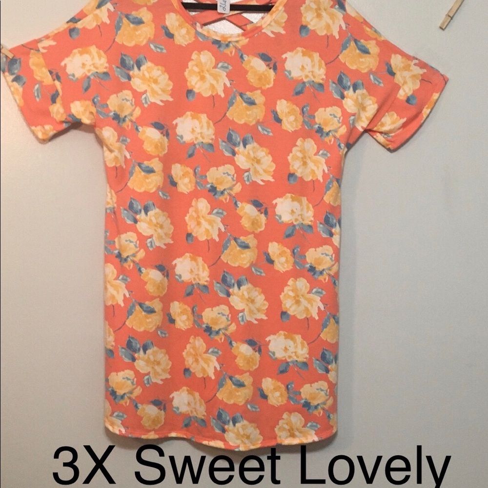 3XL. NWOT. Sweet Lovely Dress. Item #26